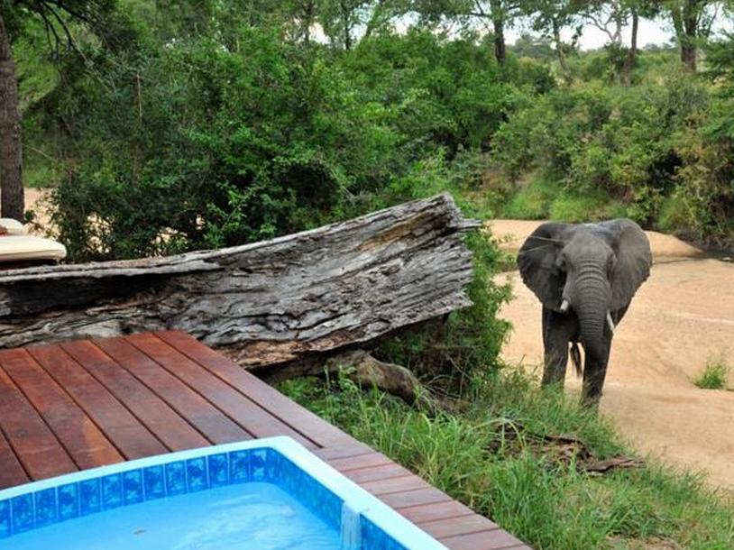 Imbali Safari Lodge Mluwati Concession Exteriör bild